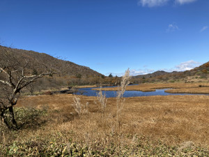 Img_0229_2